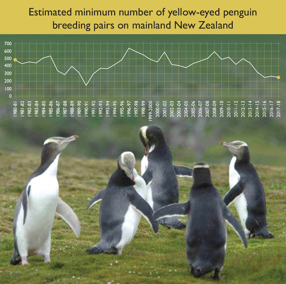 Penguin Population Chart